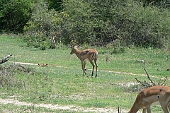 0165-Reis Zuid-Afrika2007
